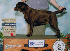 gracecskc2006.jpg