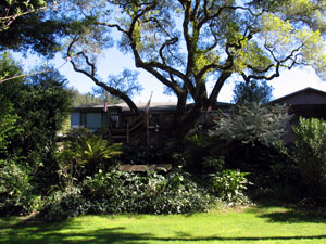 graystone-rear.jpg